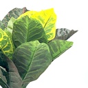 Planta artificial Crotón 35cm