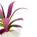 Suculenta morada base vidrio 22cm