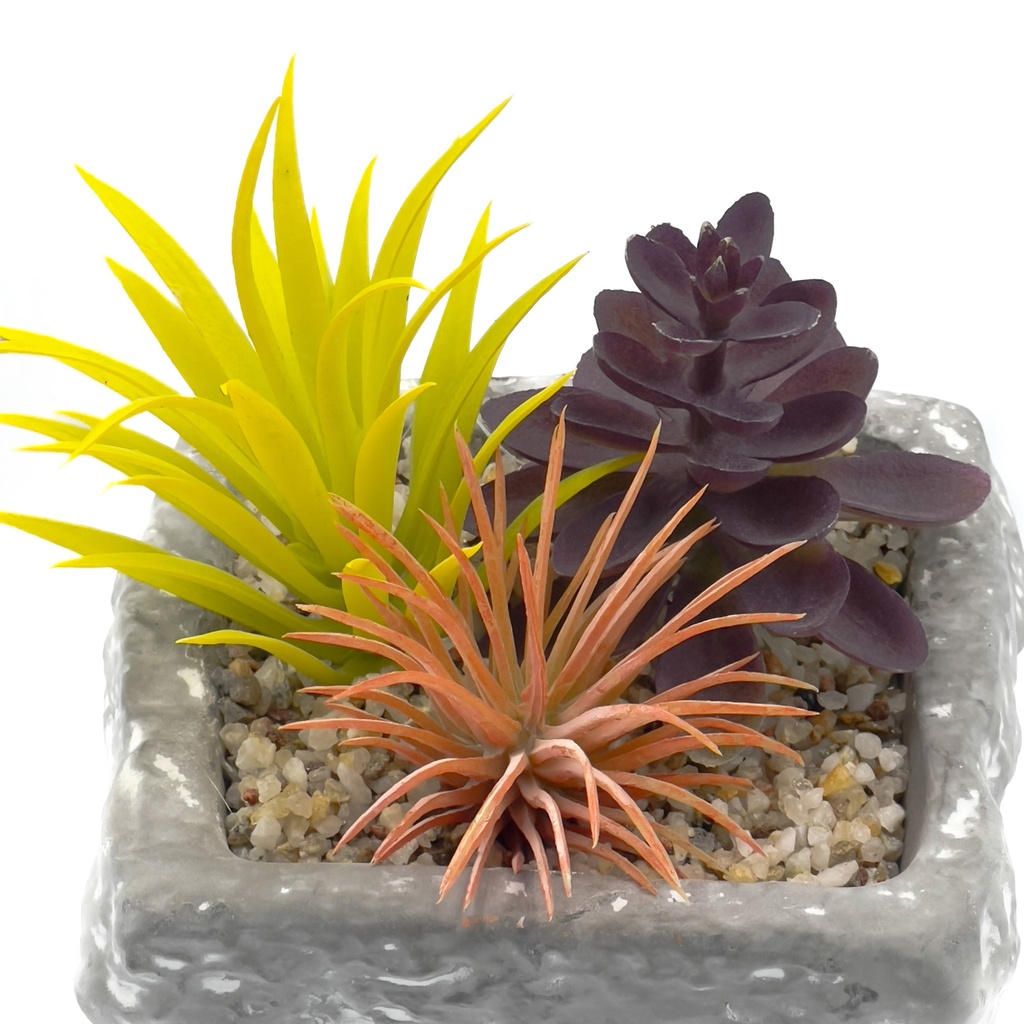 Suculenta mix base piedra 13,2cm