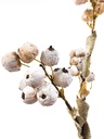 Ramo flores artificiales frutos blancos