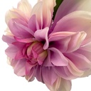 Flor artificial rosada 70cm