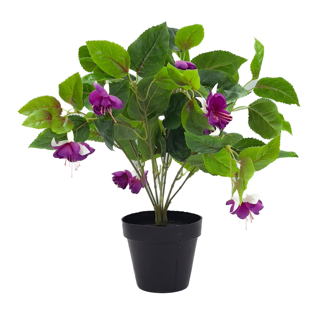 Planta Ramo Mora 38cm